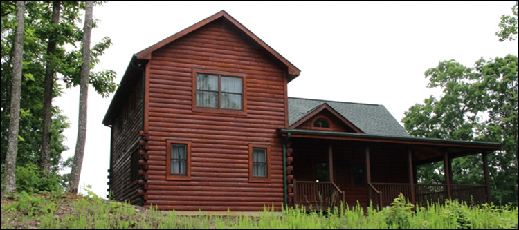 Professional Log Home Borate Application  Greene County, Ohio